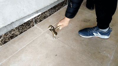 7.gif
